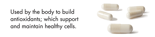 Used by the body to build antioxidants; which support and maintain healthy cells.