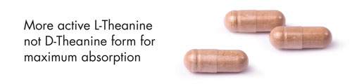 More active L-Theanine not D-Theanine form for maximum absorption