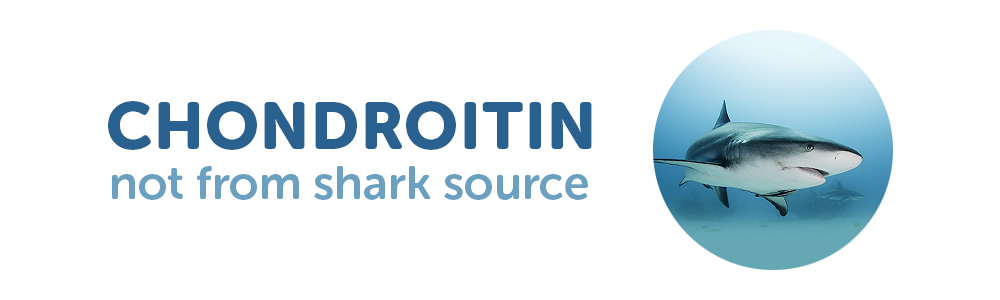 CHONDROITIN not from shark source