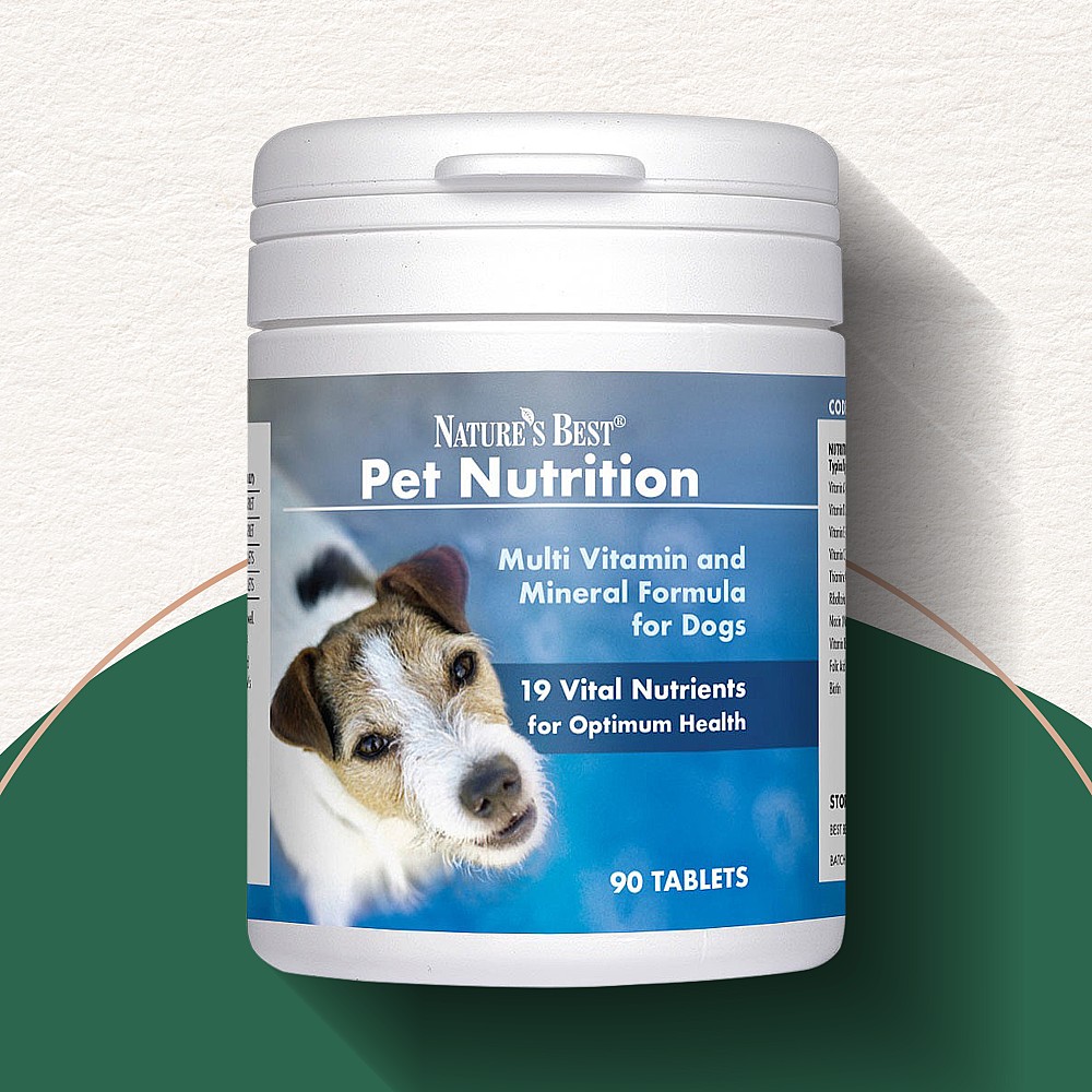 Prenatal Vitamin Dog Ate My Multivitamin Multivitamins For Dogs