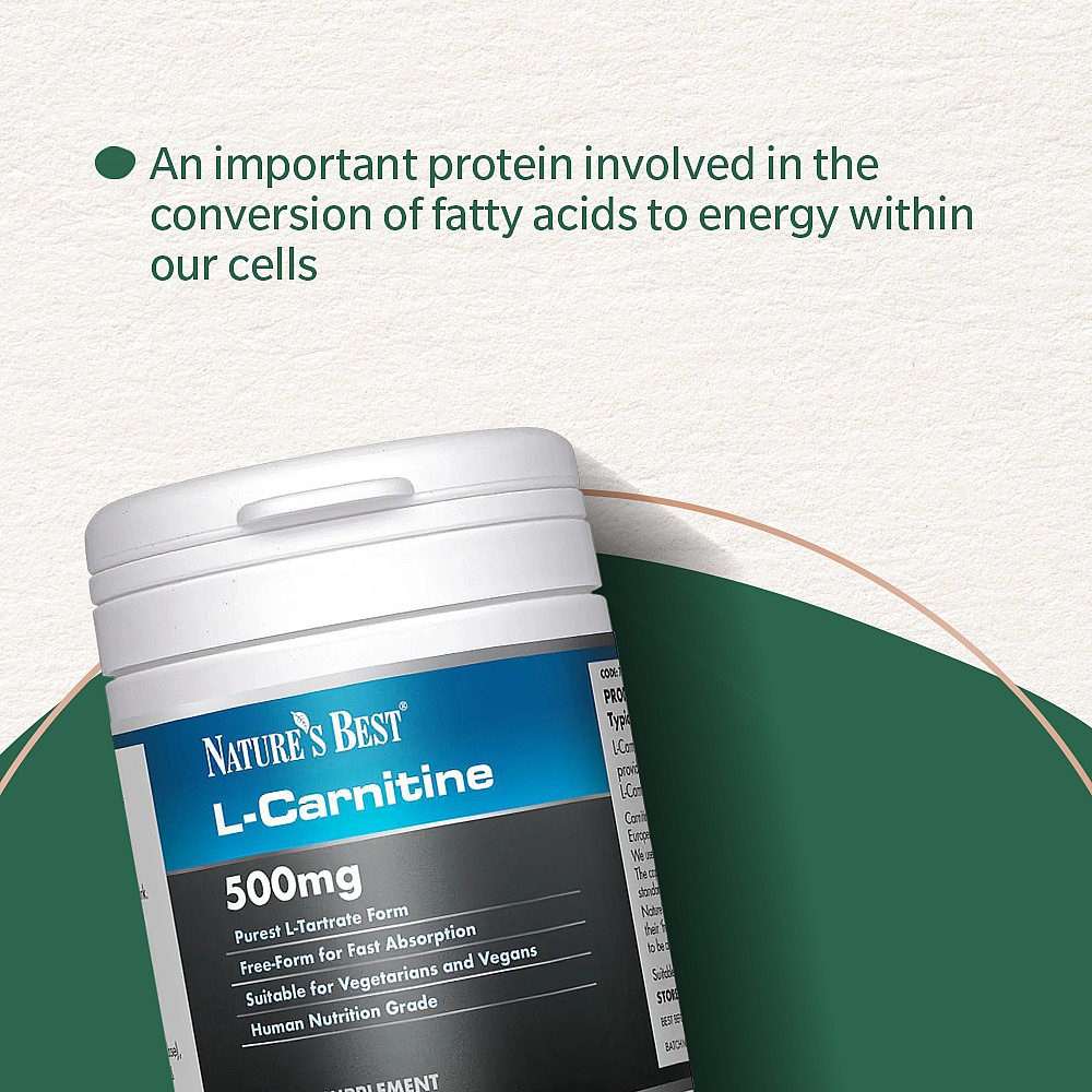 l carnitine with green tea L-Carnitine Supplements