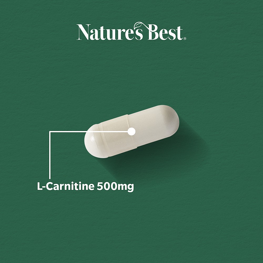 L-Carnitine 500mg L-Carnitine 500mg